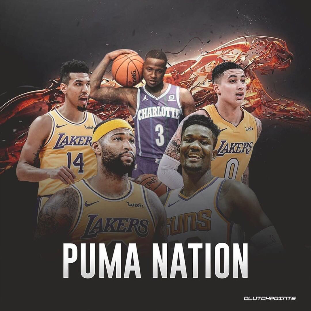 高纯气体输送系统